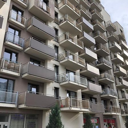 Mivardomi Accommodation Κλουζ-Ναπόκα Εξωτερικό φωτογραφία
